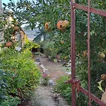 Masseria Mandrascate Prato Alloggio per agriturismo *