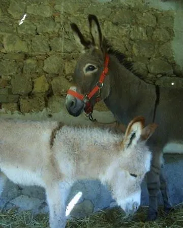팜스테이 Masseria Mandrascate Prato Valguarnera Caropepe