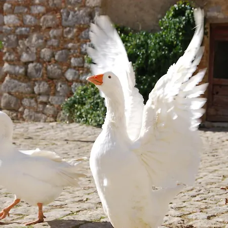 Alloggio per agriturismo Masseria Mandrascate Prato